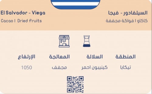 سلوب -السيلفادور، فيجا 250G