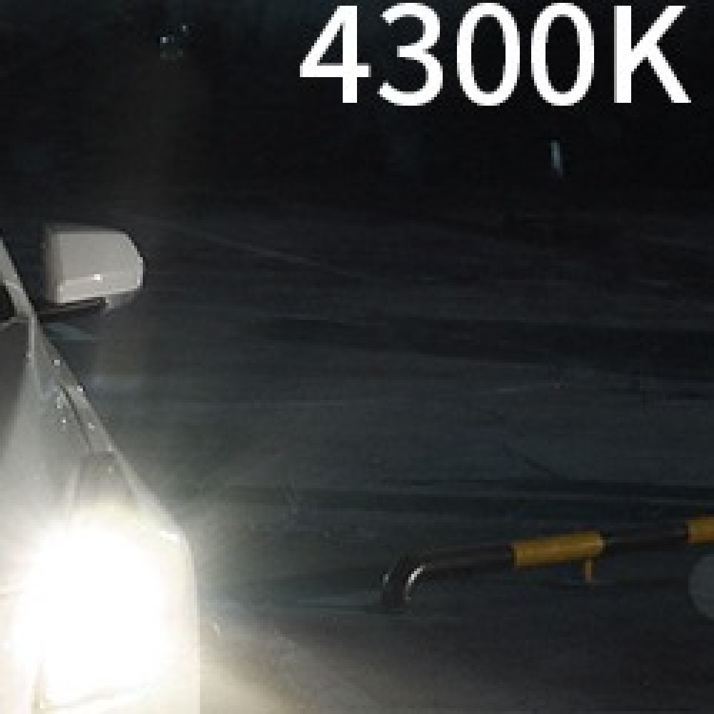 D3S 4300K لون أبيض مصفر