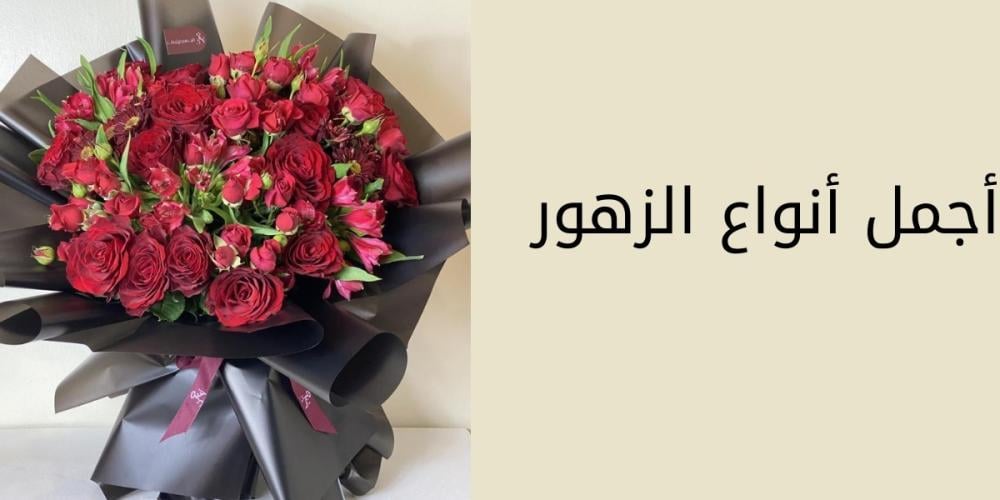 أجمل أنواع الزهور