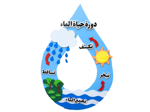 دورة حياة الماء