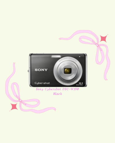 Sony Cybershot DSC-W190