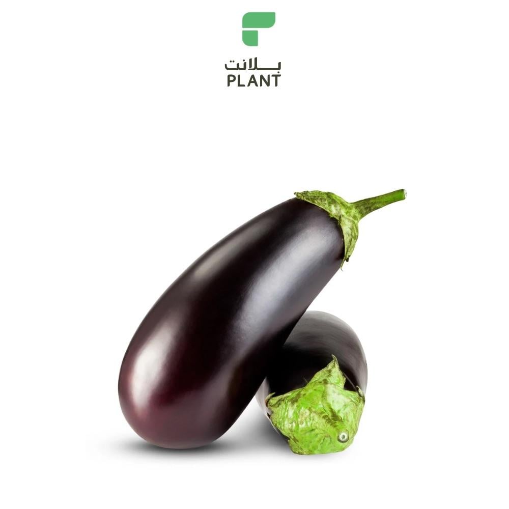 باذنجان 2  كيلو | باذنجان طازج وصحي – توصيل سريع