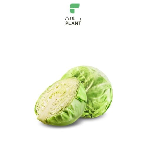 ملفوف طازج حبة