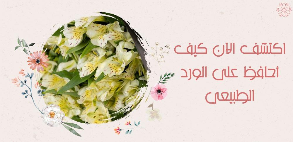 اكتشف الان كيف احافظ على الورد الطبيعي