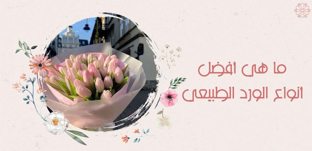 ما هي أفضل أنواع الورد الطبيعي