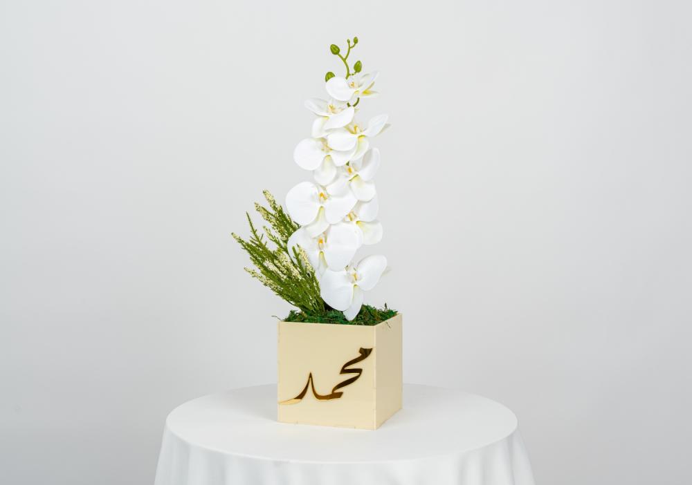 فازة اوركيد بالاسم المميزه