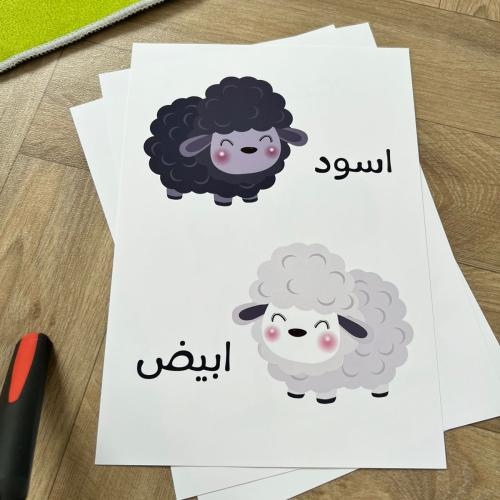 الكلمة وعكسها