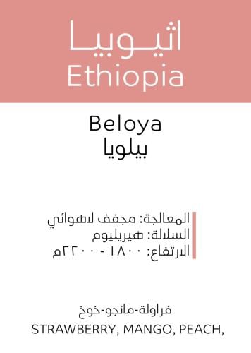 أثيوبيا بيلويا مجففه