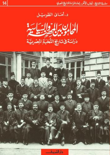 المحامون بين المهنة والسياسة