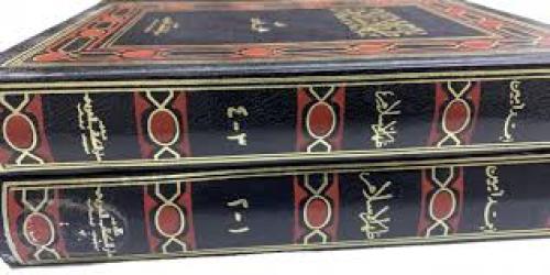 ظهر الإسلام (2مجلد)