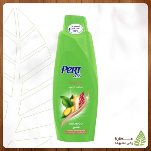 برت بلاس شامبو بخلاصة الزنجبيل للشعر الضعيف والسهل التقصف 600 مل