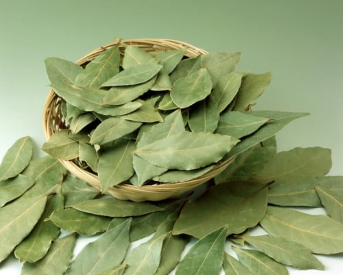 ورق غار (الأصلي)