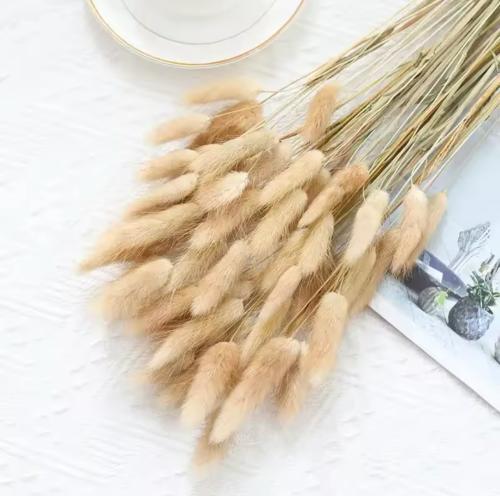 أغصان طبيعي للتنسيق شدة