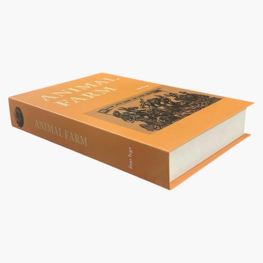 كتاب ديكور كرتوني لتزيين الأرفف والطاولات – مقاس 24×16×4 سم