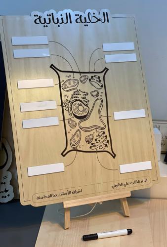 لوحة الخلية النباتية