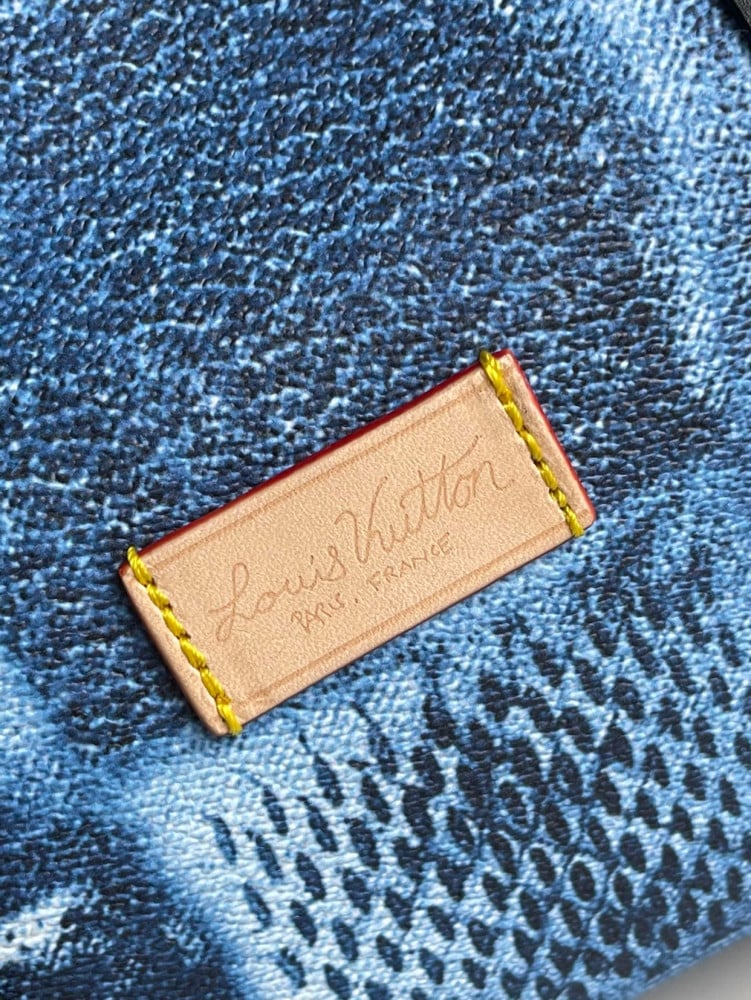 LV Bag