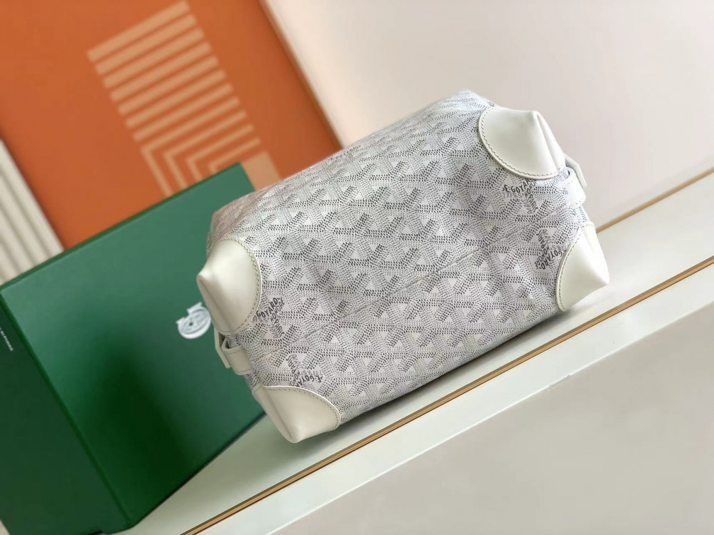 GOYARD bag