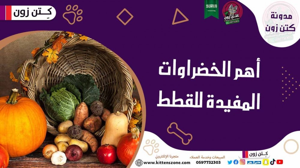 خضروات تأكلها القطط: أبرز 7 أنواع من الخضار المفيد لصحتها