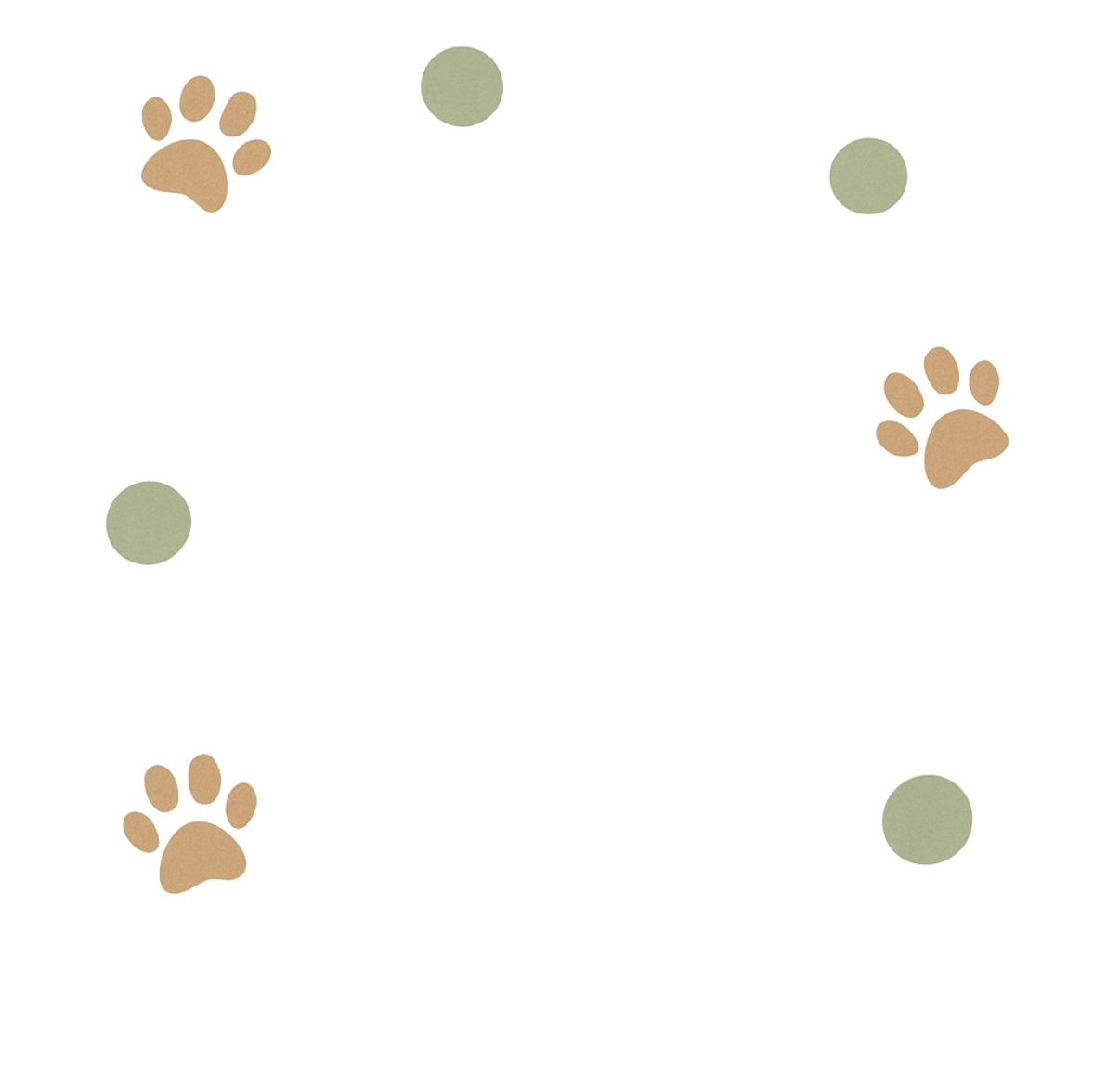 قطط كتن زون ASR