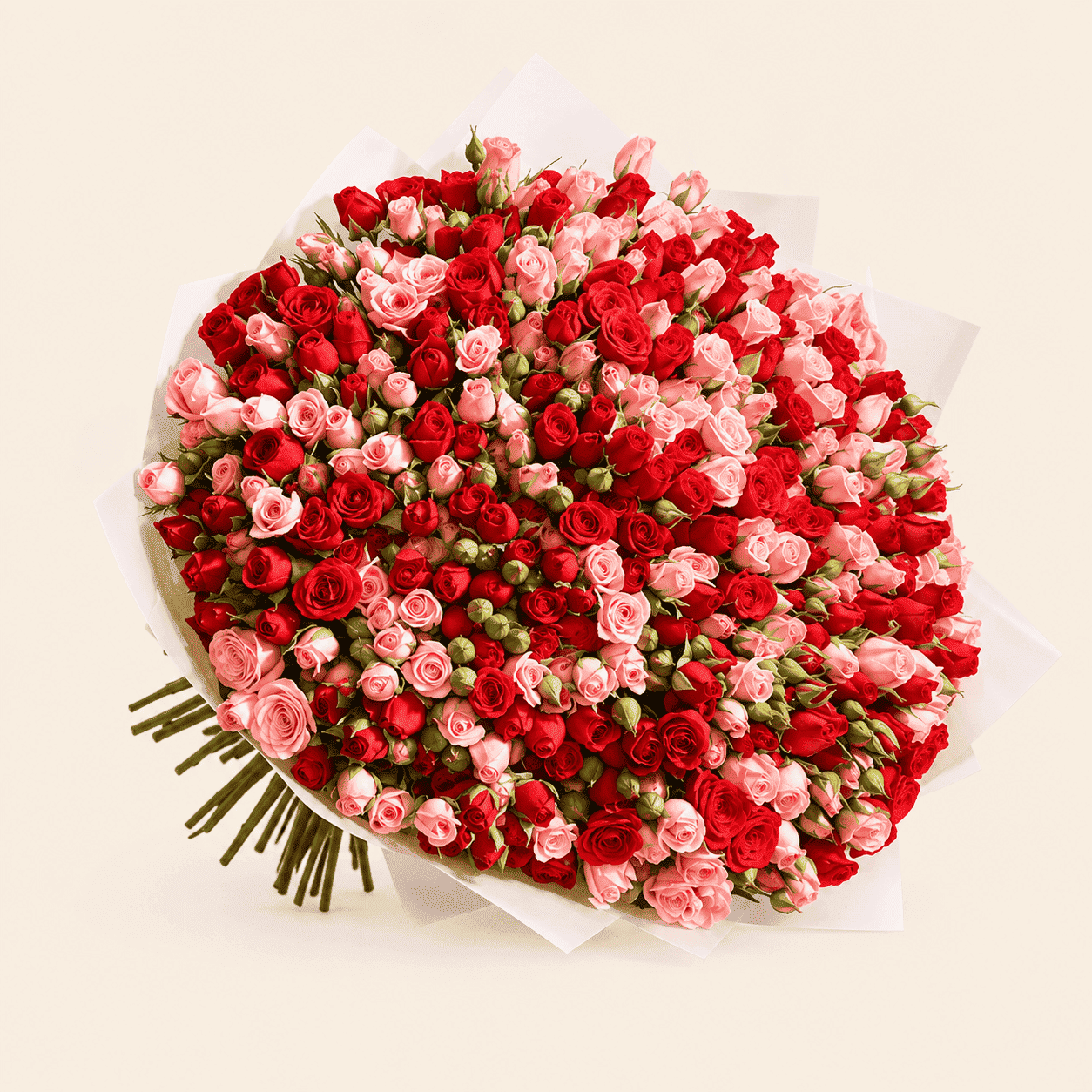 اعتذار