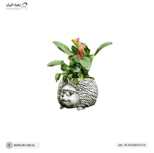 حوض قنفذ من الريزن