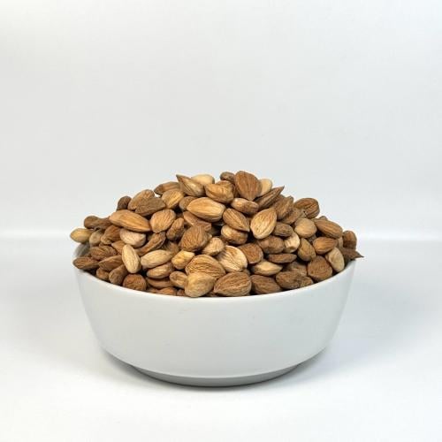 بذور المشمش