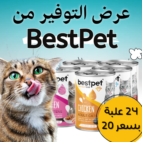 عرض التوفير من بست بت BestPet (24 علبة بسعر 20) نك...