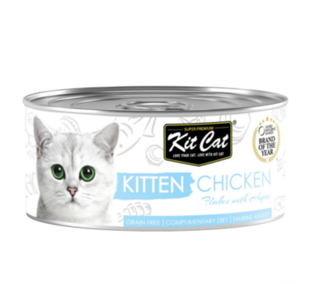 kit cat wet food kitten