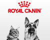 Royal Canin