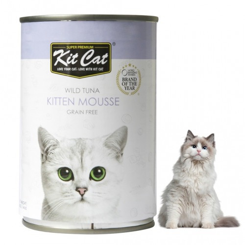 kit cat wet food kitten