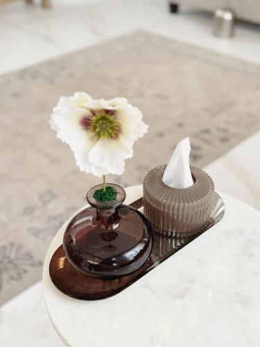 علبة منديل زجاج بني