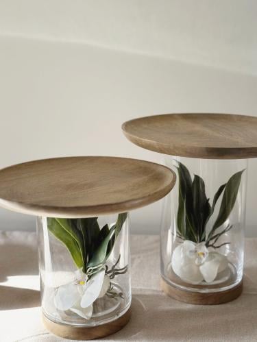 استاند تقديم