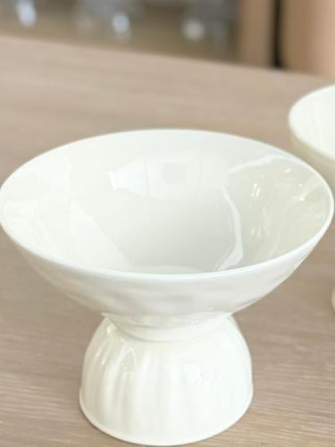 استاند تقديم