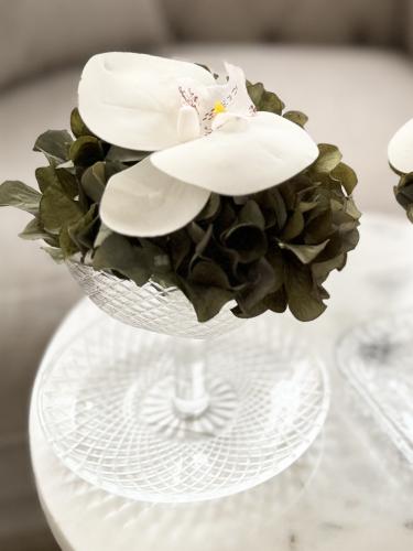 استاند بورد الهيدرنجا