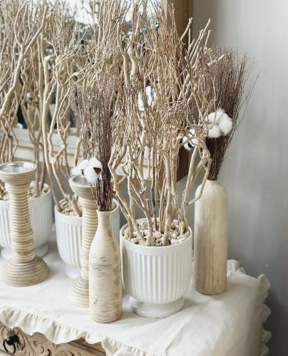 نبتة بمركن داخل الرياض فقظ