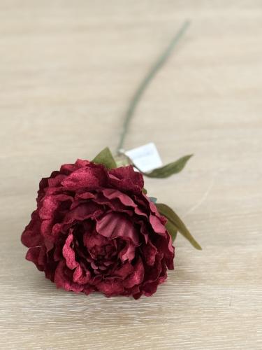 غصن روز احمر