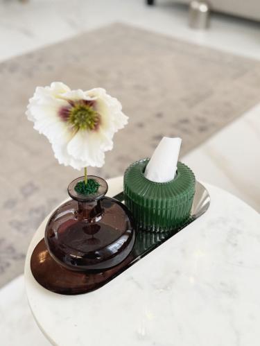 علبة مناديل زجاج أخضر