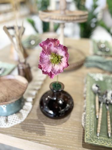 فازة شقائق النعمان