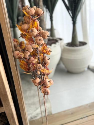 غصن اليقطين