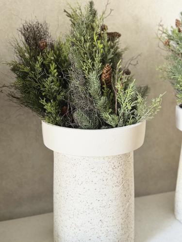 تنسيق الشتاء