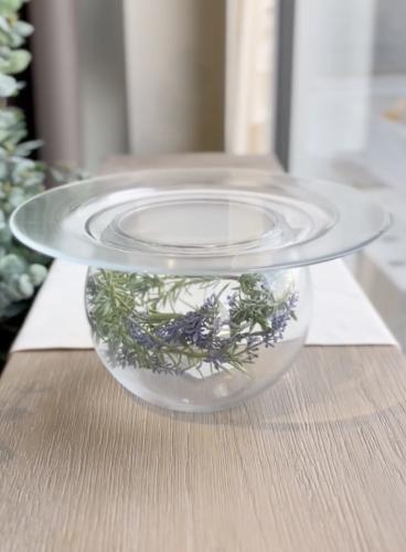 استاند تقديم