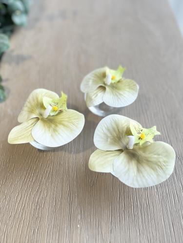 مزهرية اوركيد صغير