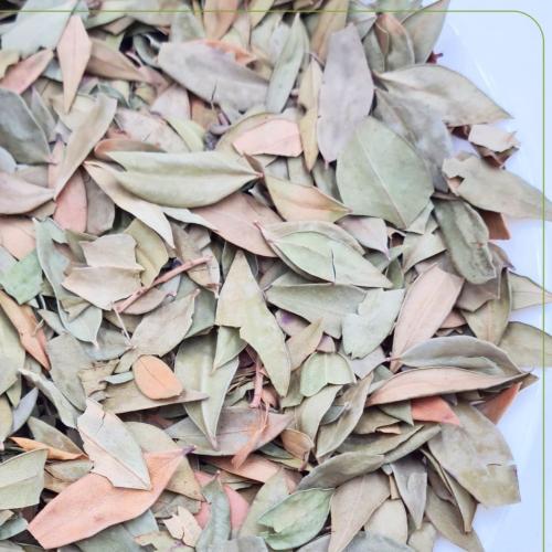 ورق عشبة الاس