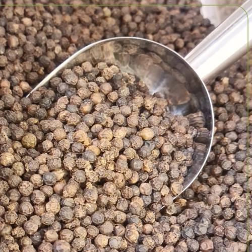 فلفل اسود حب