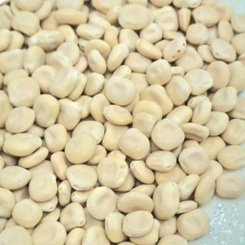 ترمس حلو كيلو