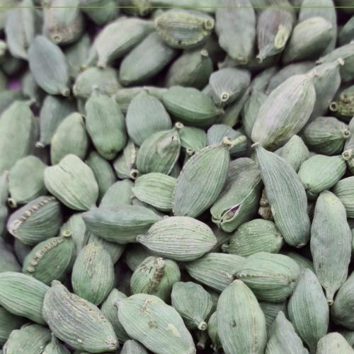 هيل امريكي اخضر جامبو درجة اولى