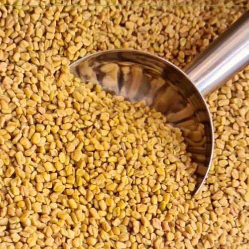 حلبة درجة اولى