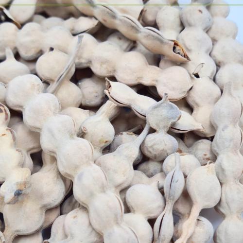 قرض درجة أولى 250 غرام