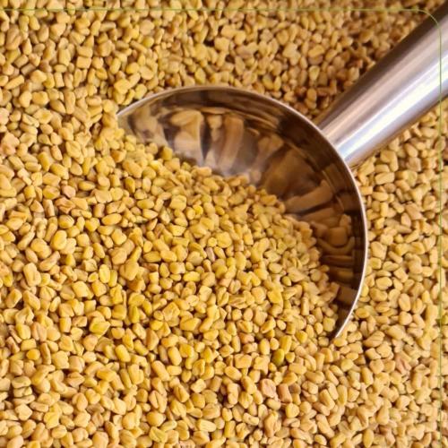 حلبة قصيمي عضوي