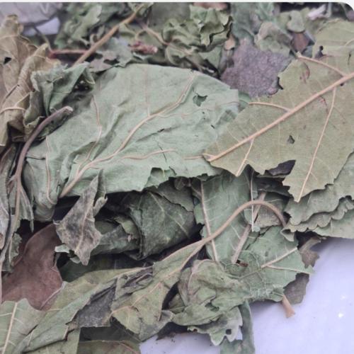 ورق توت 100 جرام